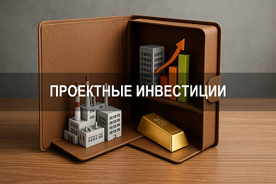 Проектные инвестиции в рамках инвестиционного проекта: структура, участники, ответственность