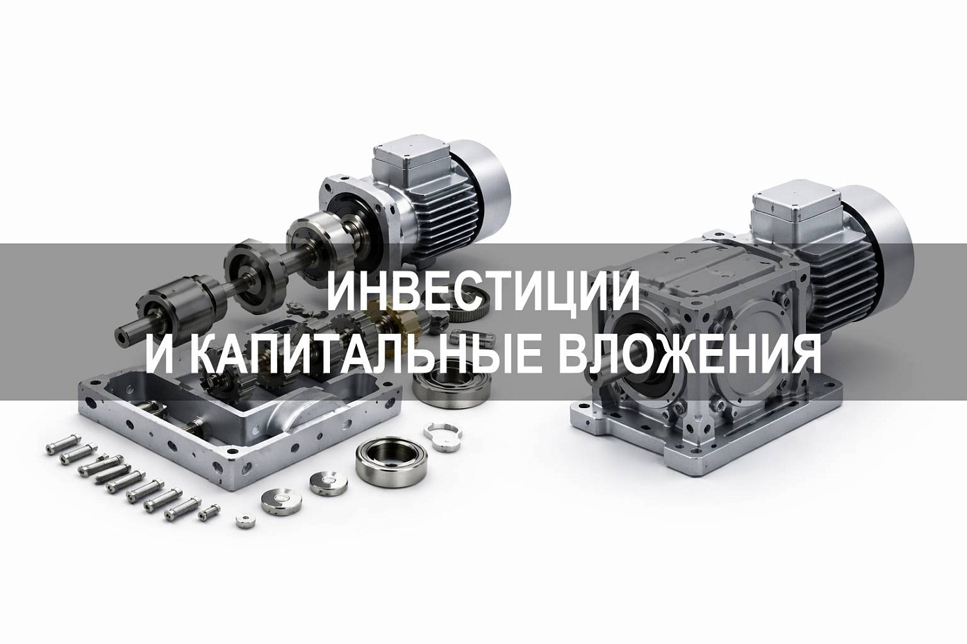 Инвестиции и капитальные вложения: критерии различия на практике