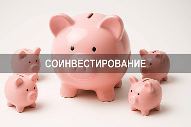 Соинвестирование: правовые основы, риски и практические примеры