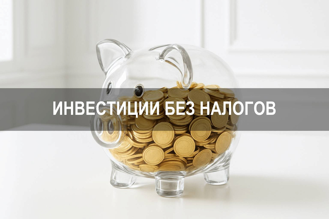 Инвестиции без налогов: как не платить при работе с ценными бумагами