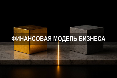 Финансовая модель бизнеса: как оценить прибыль и расходы для инвесторов