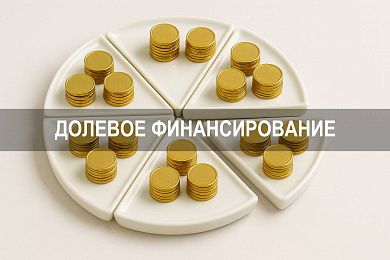 Долевое финансирование и участие в уставном капитале