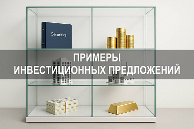 Примеры инвестиционных предложений для бизнеса и частных инвесторов