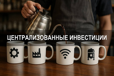 Финансирование и структура централизованных инвестиций в рамках инвестиционной деятельности