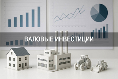 Что такое валовые инвестиции: структура, функции и роль в экономике