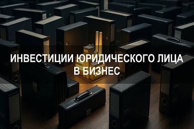 Примеры инвестиций юридического лица в бизнес: варианты, цели, структура