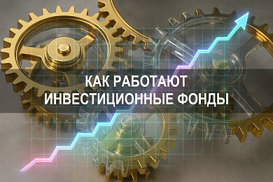 Как работают инвестиционные фонды: принципы, доходность и структура