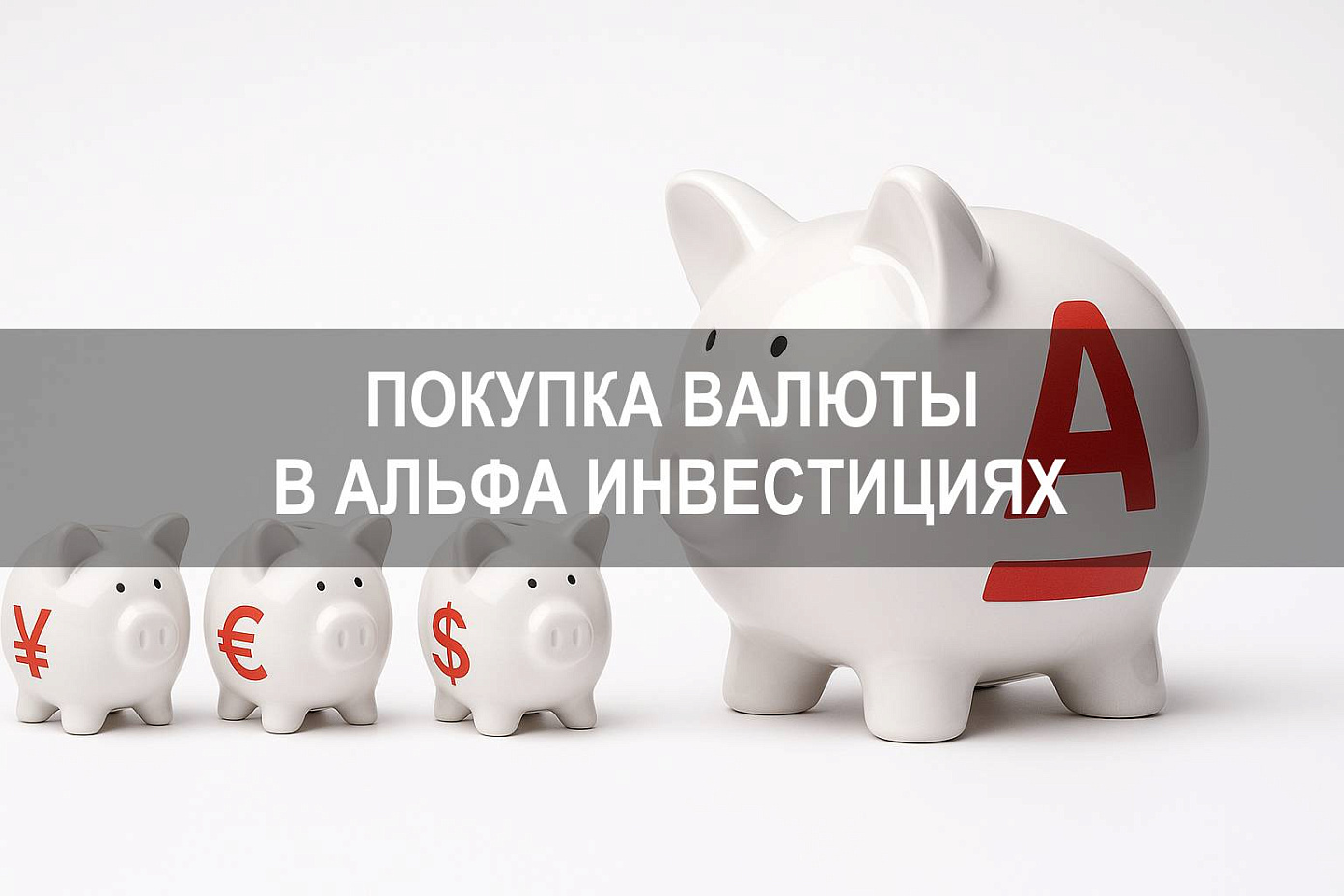 Альфа Инвестиции: как купить валюту через брокерский счет