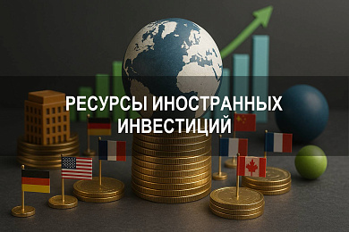 Ресурсы иностранных инвестиций и структура международных вложений