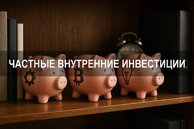  Частные внутренние инвестиции и их влияние на рост валового капитала