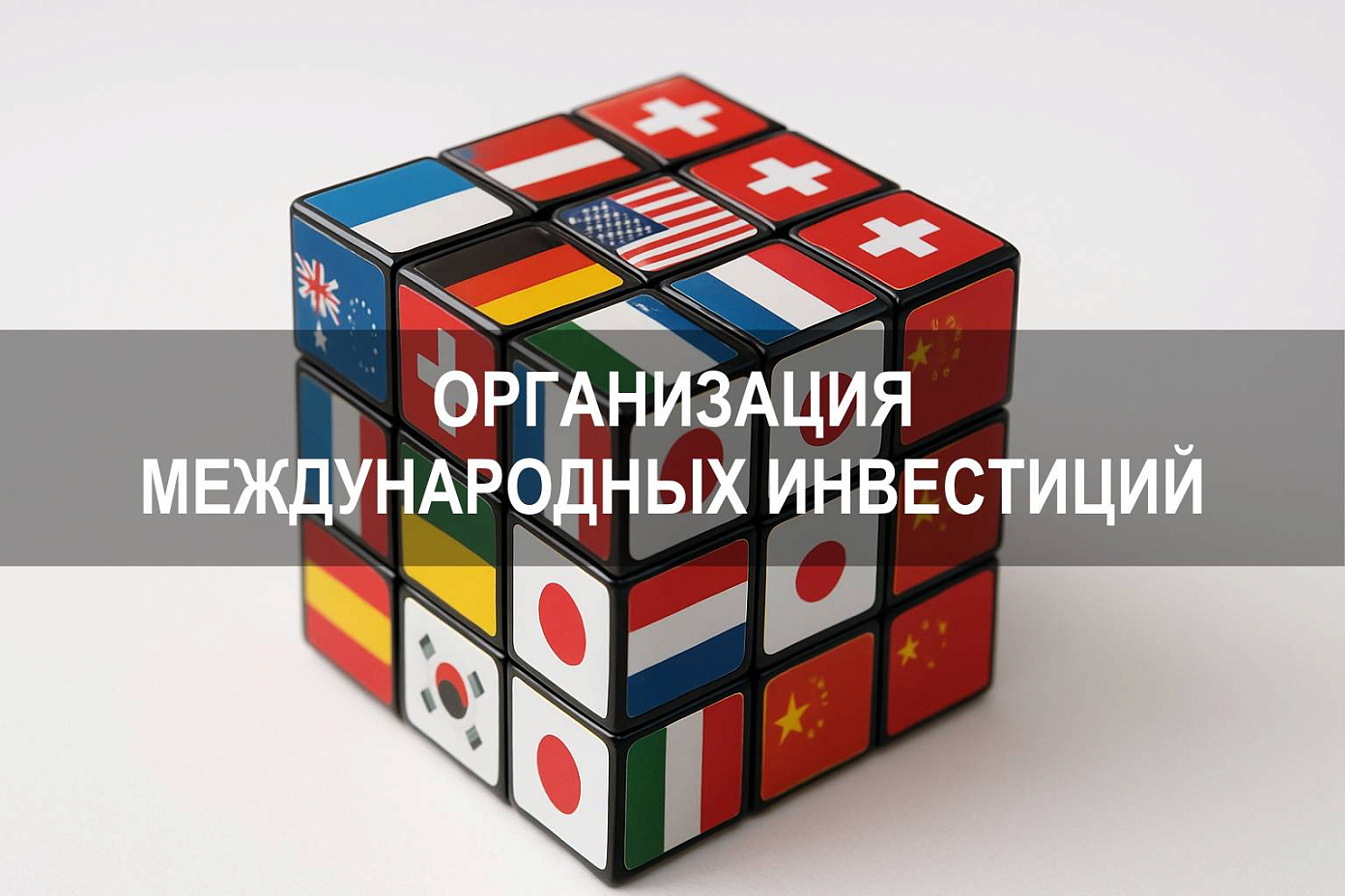 Организация международных инвестиций: правовые, экономические и технологические аспекты