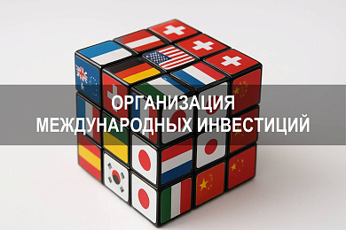 Организация международных инвестиций: правовые, экономические и технологические аспекты