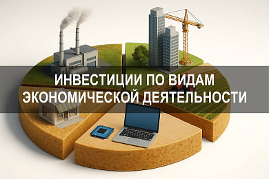 Инвестиции по видам экономической деятельности: структура, классификация, примеры