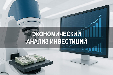 Экономический анализ инвестиций: факты, данные, примеры