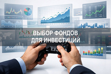 В какие фонды вложить инвестиции с учетом риска и структуры портфеля