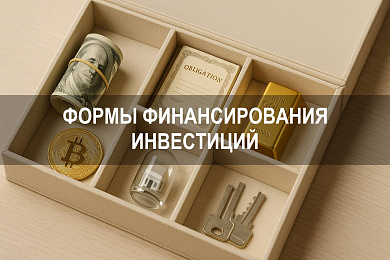 Формы финансирования инвестиций: источники, механизмы и государственное участие