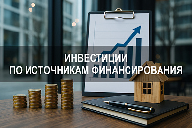 Инвестиции по источникам финансирования: внутренние и внешние пути обеспечения проектов