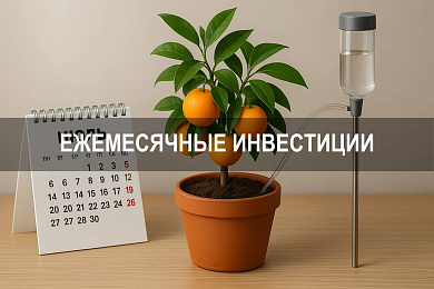 Как использовать ежемесячные инвестиции для накопления капитала и защиты от инфляции
