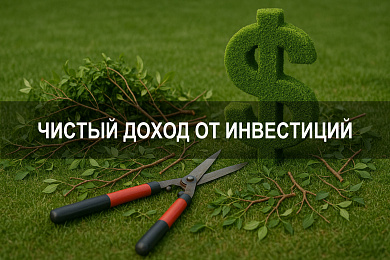 Чистый доход от инвестиций и его определение через модель net present value