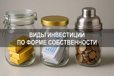 Виды инвестиций по форме собственности: государственные, частные, смешанные