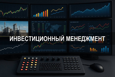 Инвестиционный менеджмент в системе реализации инвестиций: структура, цели и факторы